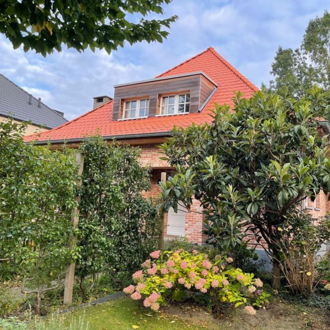 kontich (3)